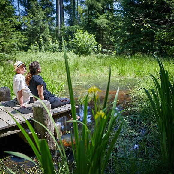Erholung am Walderlebniszentrum Schernfeld Zwei Personen eine mit Hut und in weiß, die andere in dunkelblau gekleidet sitzen auf einem Holzsteg inmitten einer grünen Oase umgeben von Bäumen.