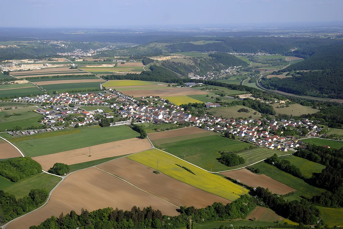 Schernfeld